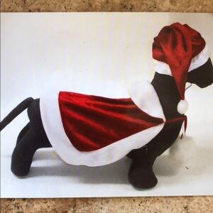 Holiday outfit 🎅🏻🐶